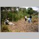 Weeding - Ranger Darren Bird with Marie Turnbull, James Carroll and Stanley Barker