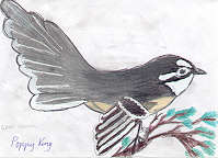 Grey Fantail by Poppy King