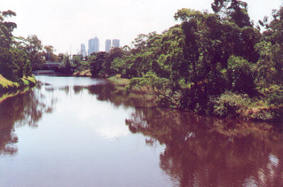 the island from Como landing with Melbourne in the background