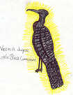 Little Black Cormorant by Vesna Jugovic