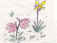 Orchid