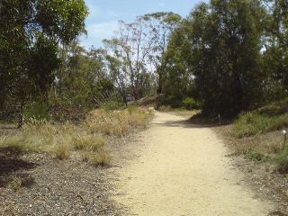 becomes a densely planted native grassland