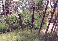 the bank is planted with dry-tolerant and soil binding species